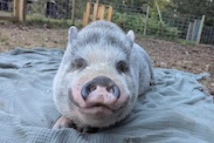 Welcome to our family! Meet Brad